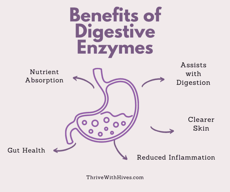 Digestive Enzymes for Gut Health - Thrive with Hives